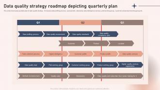 Data Quality Strategy Roadmap Depicting Quarterly Plan
