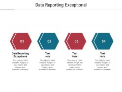 Data reporting exceptional ppt powerpoint presentation model themes cpb