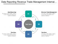 Data Reporting Revenue Trade Management Internal Service Risk Assessment