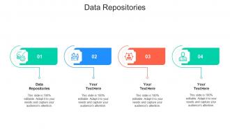 Data repositories ppt powerpoint presentation outline elements cpb