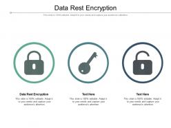 Data rest encryption ppt powerpoint presentation layouts design templates cpb