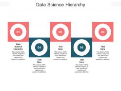 Data science hierarchy ppt powerpoint presentation inspiration professional cpb