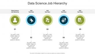 Data Science Job Hierarchy In Powerpoint And Google Slides Cpb