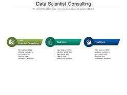 Data scientist consulting ppt powerpoint presentation professional ideas cpb