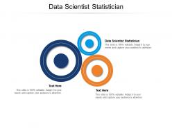 Data scientist statistician ppt powerpoint presentation file brochure cpb