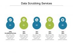 Data scrubbing services ppt powerpoint presentation pictures graphics example cpb
