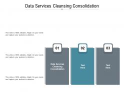 Data services cleansing consolidation ppt powerpoint presentation slide cpb