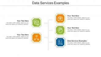 Data Services Examples Ppt Powerpoint Presentation Outline Rules Cpb