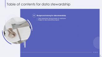 Data Stewardship IT Powerpoint Presentation Slides
