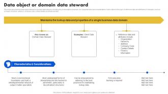 Data Stewardship Model Data Object Or Domain Data Steward