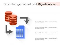 Data storage format and migration icon