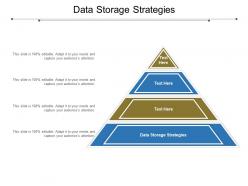 Data storage strategies ppt powerpoint presentation infographics smartart cpb