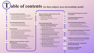Data Subject Area Stewardship Model Powerpoint Presentation Slides Appealing Professionally