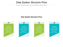 Data system structure price ppt powerpoint presentation inspiration summary cpb