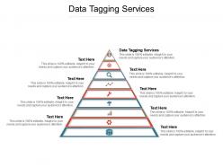 Data tagging services ppt powerpoint presentation ideas background image cpb