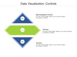 Data visualization controls ppt powerpoint presentation layouts infographics cpb