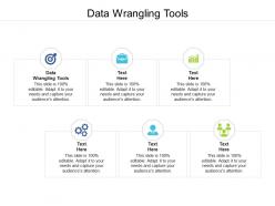 Data wrangling tools ppt powerpoint presentation ideas slides cpb