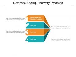 Database backup recovery practices ppt powerpoint presentation layouts styles cpb