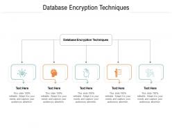Database encryption techniques ppt powerpoint presentation infographics design cpb