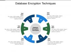 Database encryption techniques ppt powerpoint presentation styles infographic template cpb