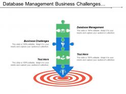 Database management business challenges advertising strategies product funding