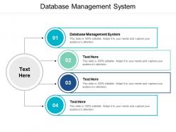 Database management system ppt powerpoint presentation gallery slides cpb