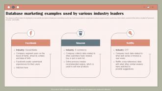 Database Marketing Examples Used By Using Customer Data To Improve MKT SS V