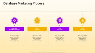 Database Marketing Process In Powerpoint And Google Slides Cpb