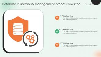 Database Vulnerability Management Process Flow Icon