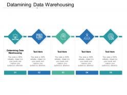 Datamining data warehousing ppt powerpoint presentation file diagrams cpb