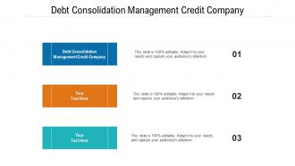 Debt consolidation management credit company ppt powerpoint presentation ideas graphics template cpb