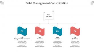 Debt management consolidation ppt powerpoint presentation portfolio slideshow cpb