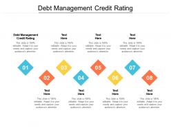 Debt management credit rating ppt powerpoint presentation gallery designs cpb
