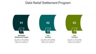 Debt relief settlement program ppt powerpoint presentation layouts brochure cpb