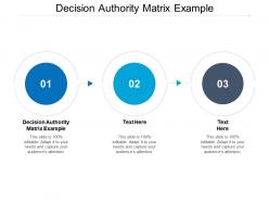 Decision authority matrix example ppt powerpoint presentation ideas rules cpb
