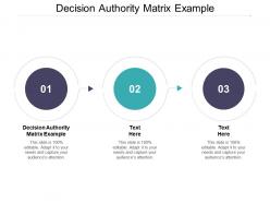 Decision authority matrix example ppt powerpoint presentation pictures aids cpb