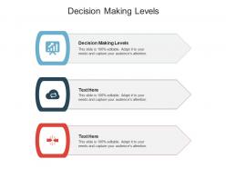 Decision making levels ppt powerpoint presentation show outline cpb