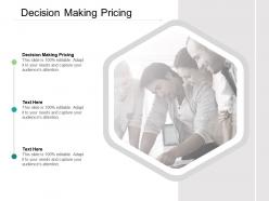 Decision making pricing ppt powerpoint presentation infographic template cpb