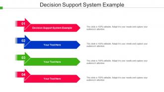 Decision Support System Example Ppt Powerpoint Presentation Layouts Outline Cpb