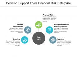 Decision support tools financial risk enterprise resource planning systems cpb