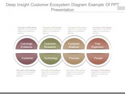 Deep insight customer ecosystem diagram example of ppt presentation