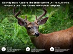 Deer By Road Acquire The Endorsement Of The Audience The Use Of Our Deer Animal Template