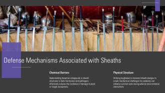 Defense Mechanisms Associated With Sheaths PPT Template ACP