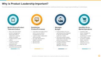 Defining product leadership strategies why is product leadership important