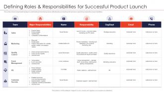 Defining roles and responsibilities for successful strategies for new product launch