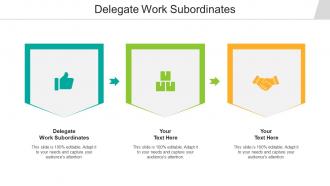 Delegate Work Subordinates Ppt Powerpoint Presentation Professional Graphics Cpb