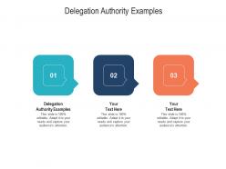 Delegation authority examples ppt powerpoint presentation infographic template deck cpb