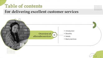 Delivering Excellent Customer Services Powerpoint Presentation Slides Researched Aesthatic