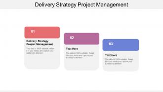 Delivery strategy project management ppt powerpoint presentation outline shapes cpb