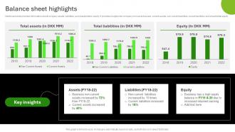 Deloitte Company Profile Balance Sheet Highlights CP SS